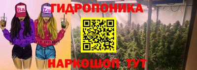 мдпв Дубна
