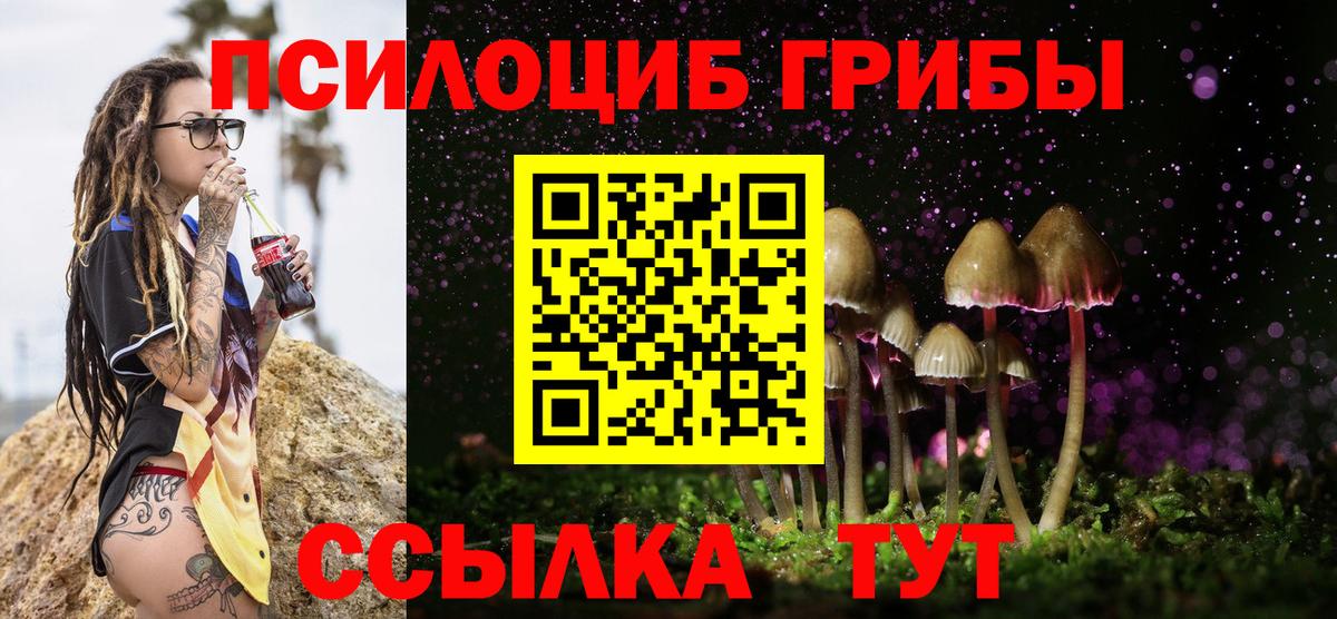 Лесосибирск  Галлюциногенные грибы мицелий  Галлюциногенные грибы прущие грибы  Вход с VPN 